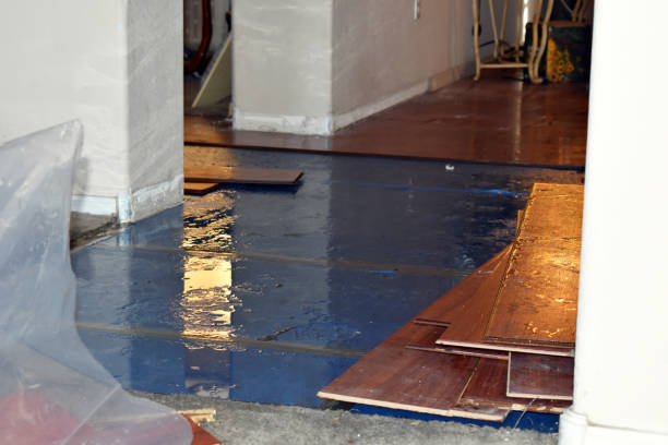 Professional Water Extraction technician working in Lamont, MI